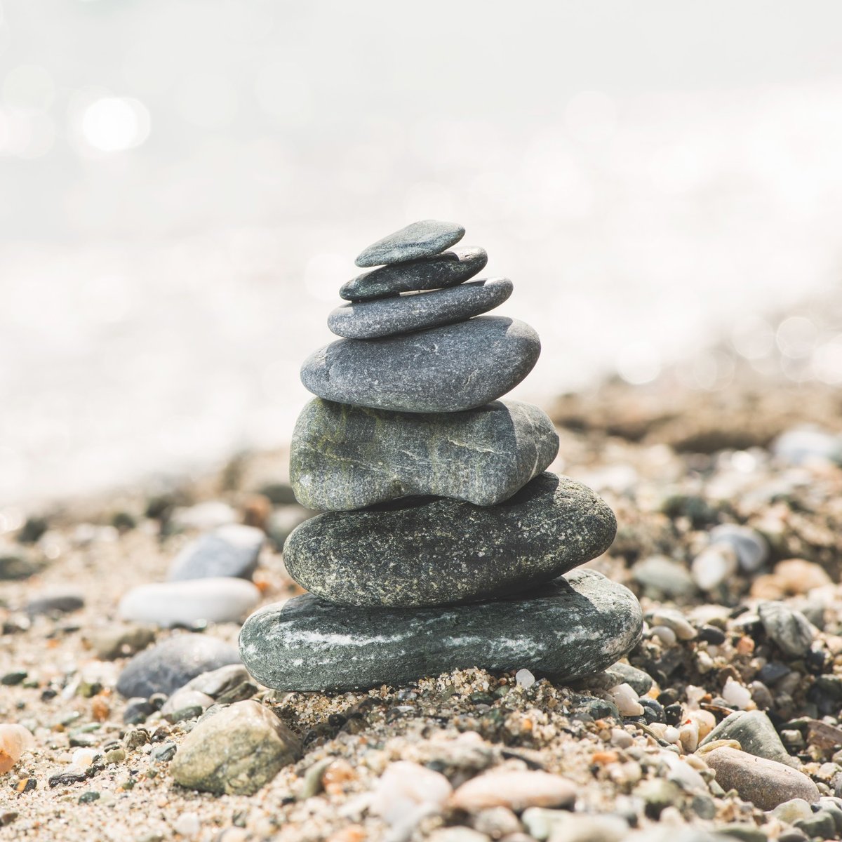 Influential Women Leaders Build Collaborative Networks for Progress