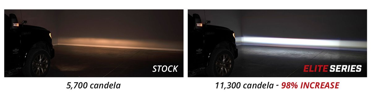 Case Studies of Elite Business Power Dynamics Analyzed